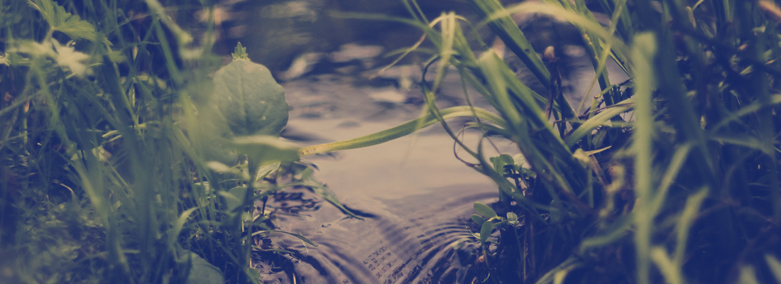 Schonende Bewirtschaftung